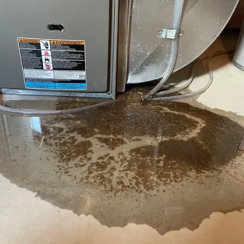 Appliance Leak Cleanup in Madera, CA